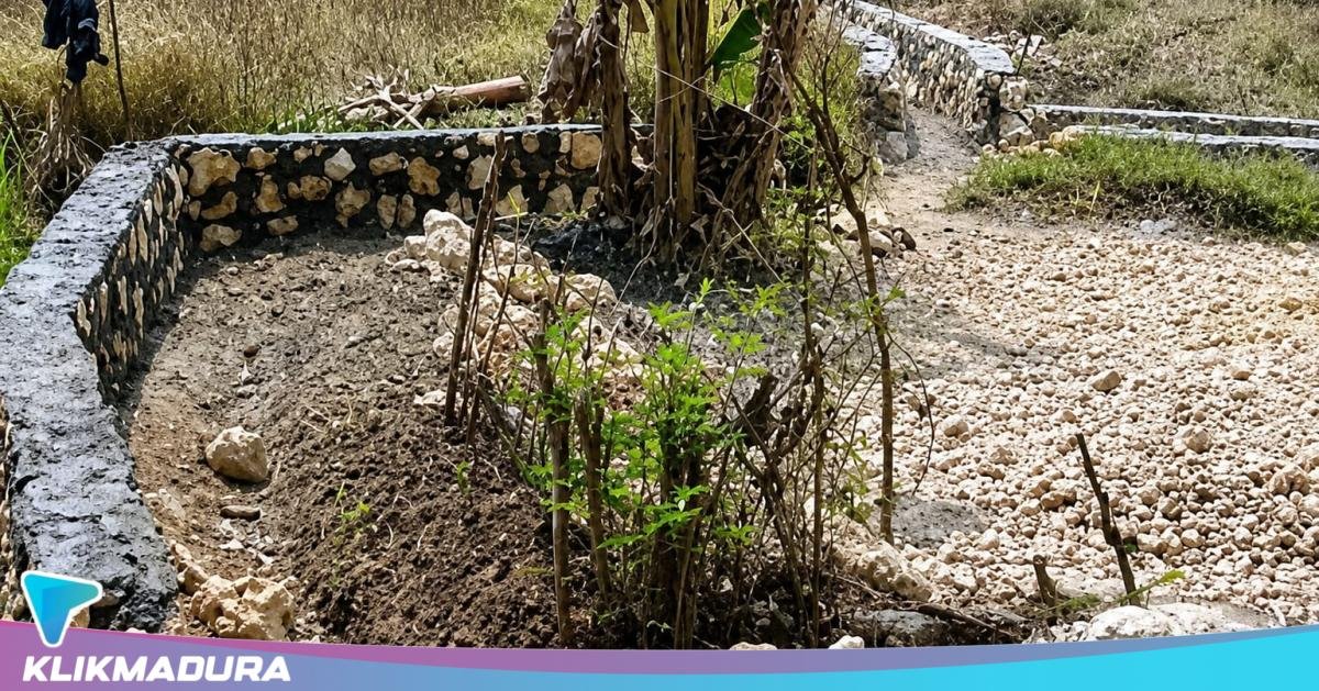 Dua Proyek Irigasi Kelilingi Satu Sawah, LIRA Pertanyakan Manfaat P3-TGAI di Sampang