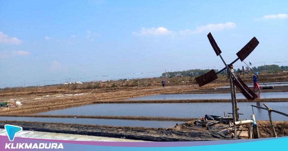 Harga Anjlok, Petani Garam Sampang Menjerit