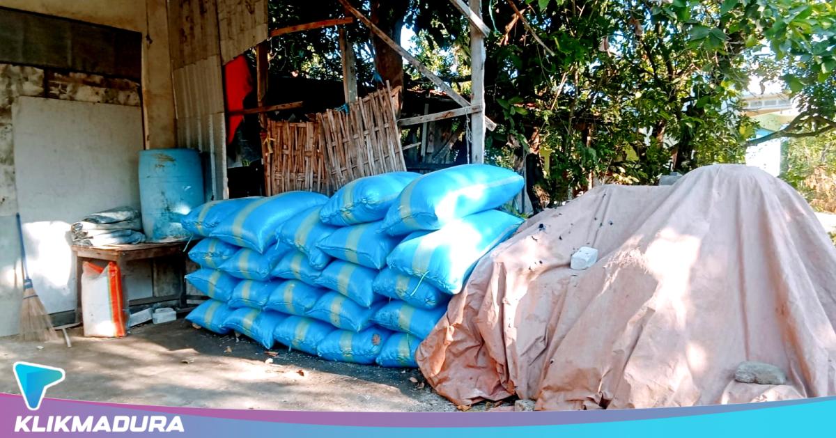 Rantai Pasok Garam Tersendat, Petani Sampang Pilih Timbun Hasil Panen Ketimbang Jual Murah