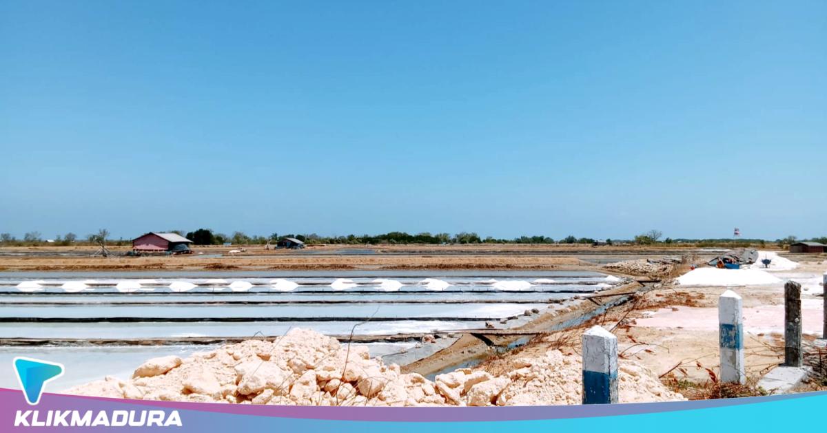 Harga Garam di Sampang Jauh dari Harapan Petani