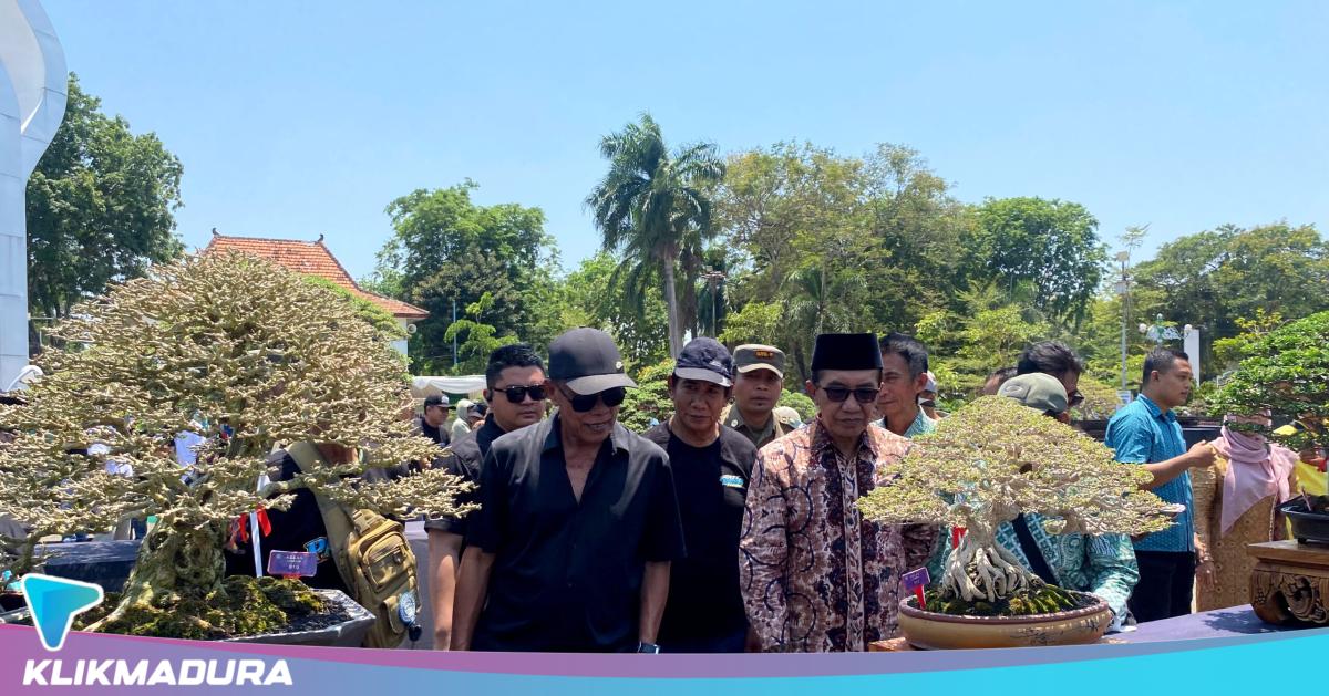 Harjad ke-496 Pamekasan Dibuka dengan Pameran Bonsai Nasional, Kelas Bintang Cetak Sejarah di Madura