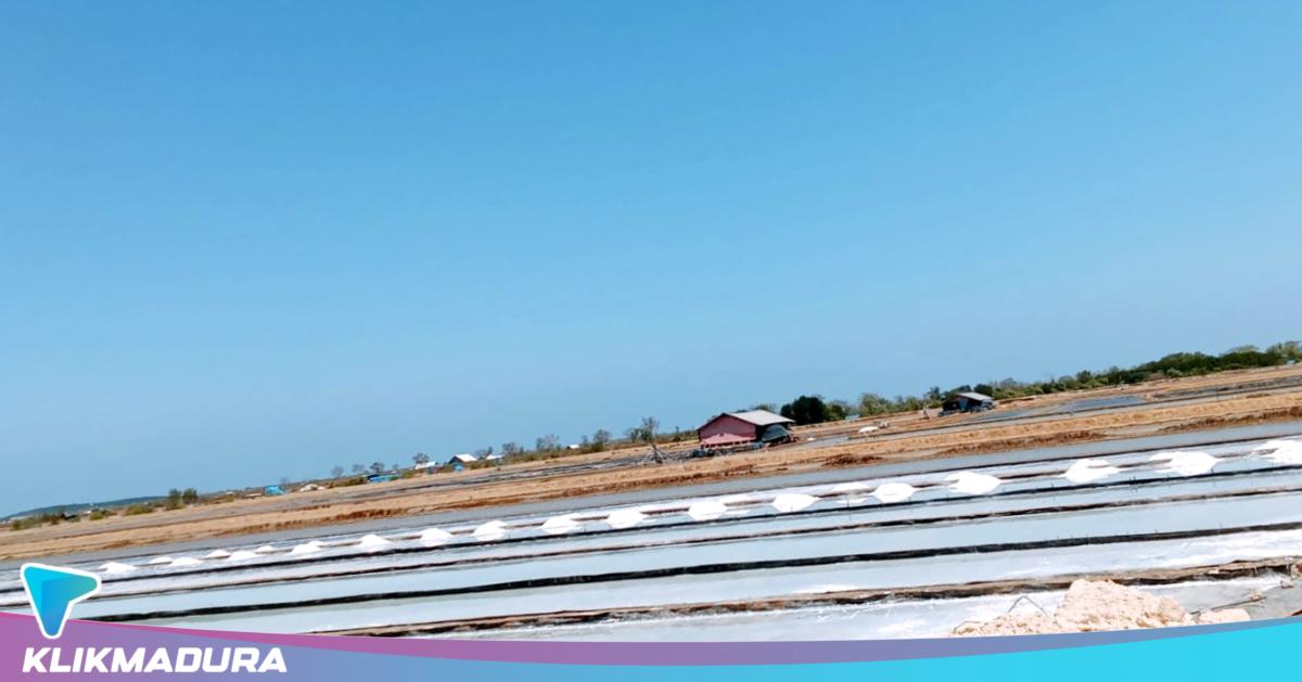 Beda Kualitas, Beda Harga! Ini Rincian Harga Garam Sampang dari K3 hingga K1