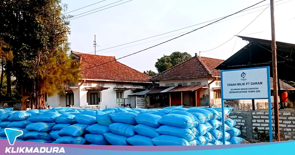 Petani Garam Sampang Bergantung pada Segelintir Gudang, Pembeli Alternatif Dibutuhkan