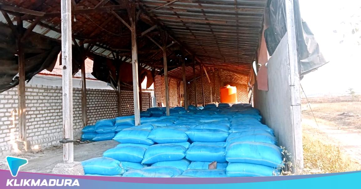 Penghujung Musim Panen, Petani Garam Sampang Buka Peluang bagi Pembeli Baru